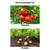 30 Pcs Insect Lures For Tomato Lures (Keiferia Lycopersicella)